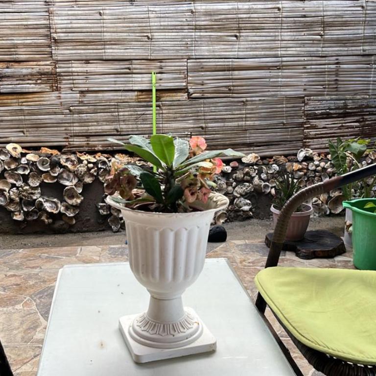 HospedajesPerú - Habitación Doble con baño privado - 7