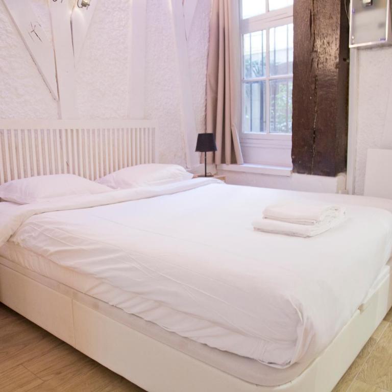 Valentine - Authentic Design Large Studio Notre-Dame Seine Walk - Appartement 1 Chambre - 4