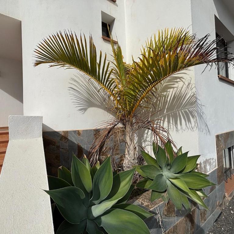 VillaCocoChalet, Private Pool, Beaches & NightLife - Three-Bedroom Villa - 55