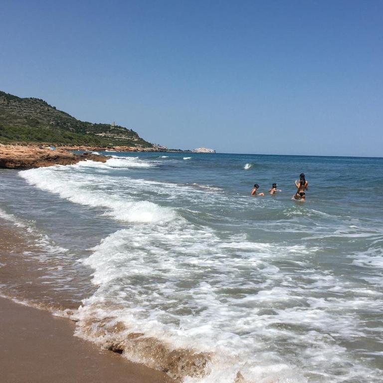 Bertur Residencial Fincal del Moro - Apartamento de 2 dormitorios - 31