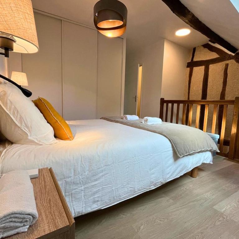 Au Charme Amboisien - Centre ville - Appartement Supérieur 2 Chambres - 10