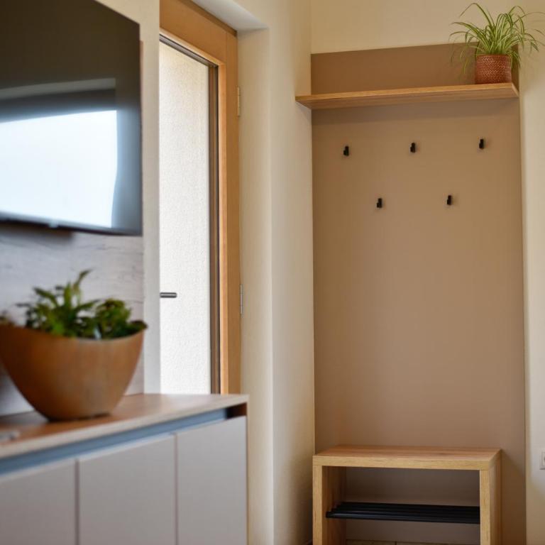 Wohlfühl Apartments am Hof Rapotz - Appartement 1 Chambre avec Terrasse - 5