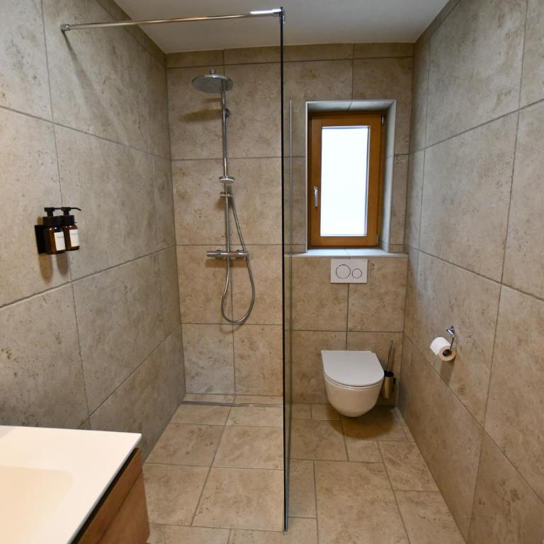 Wohlfühl Apartments am Hof Rapotz - Appartement 1 Chambre avec Terrasse - 9