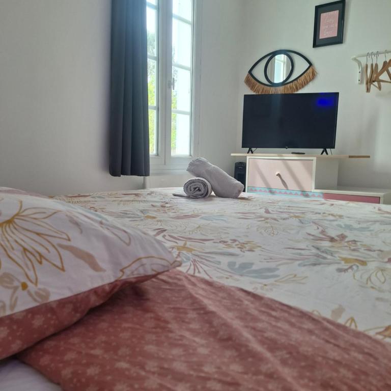 La Pinède du Chéou, Piscine, Logement indépendant, Parking, Draps, Wifi fibre - Appartement 1 Chambre - 11