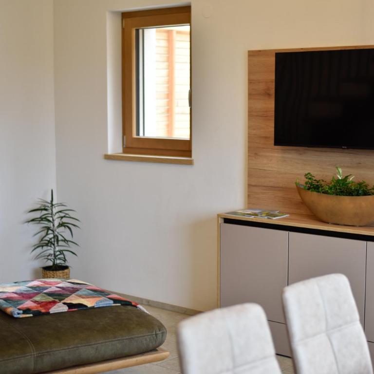 Wohlfühl Apartments am Hof Rapotz - Appartement 1 Chambre avec Terrasse - 16