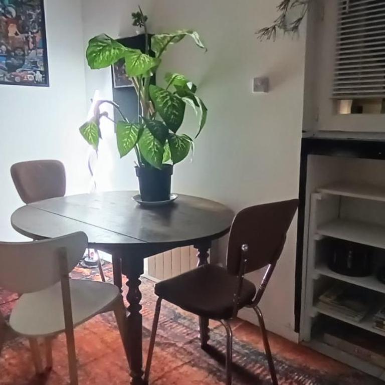 Georges B - Appartement - Rez-de-Chaussée - 11