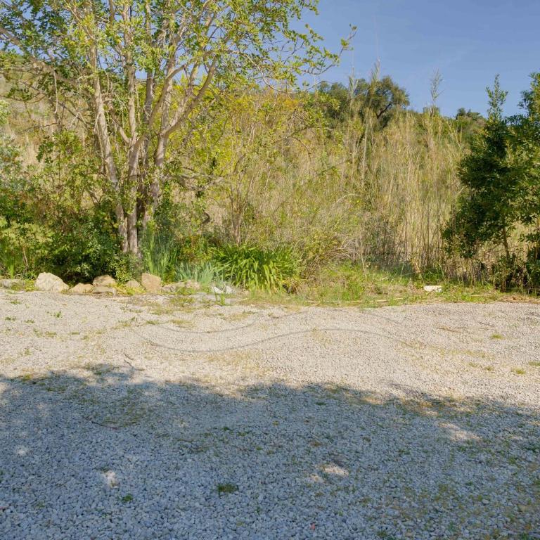 Nodo d'Amore - Goelba - Appartamento con 1 Camera da Letto - 15