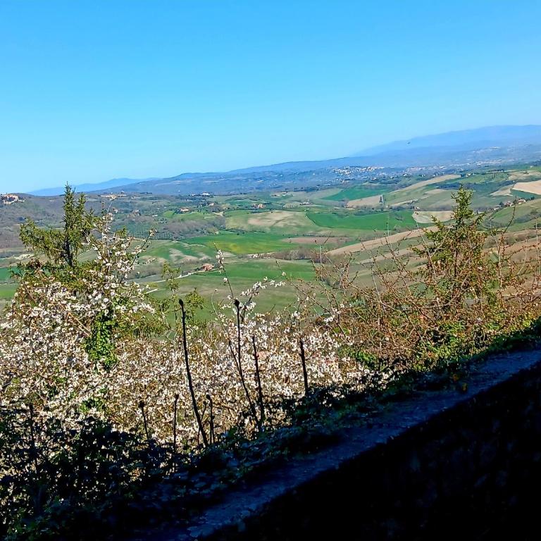 Appartamento Athena-Montepulciano House - Appartamento con 1 Camera da Letto con Vista - 10