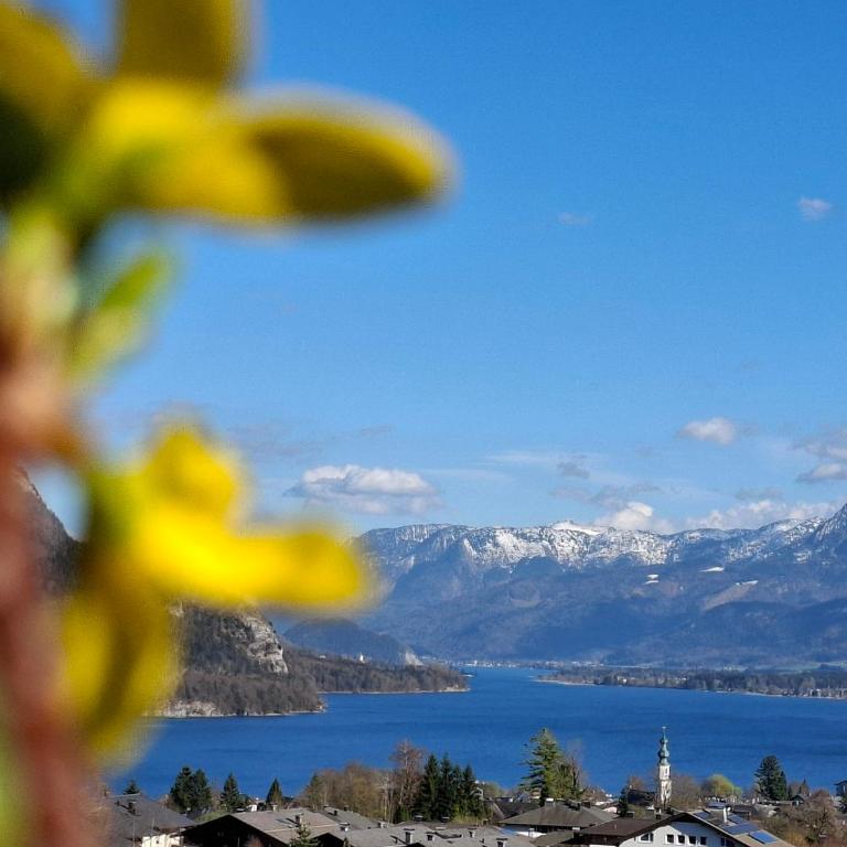Traum Blick Sankt Gilgen - Apartment mit Seeblick - 1