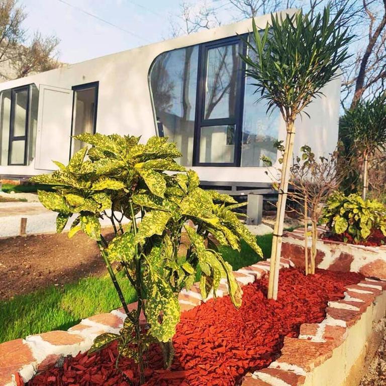 EloA Glamping - Mobile Home - 2