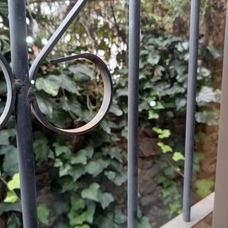 Nogales del Rincon - Apartamento Deluxe de 2 dormitorios con vistas al jardín - 12