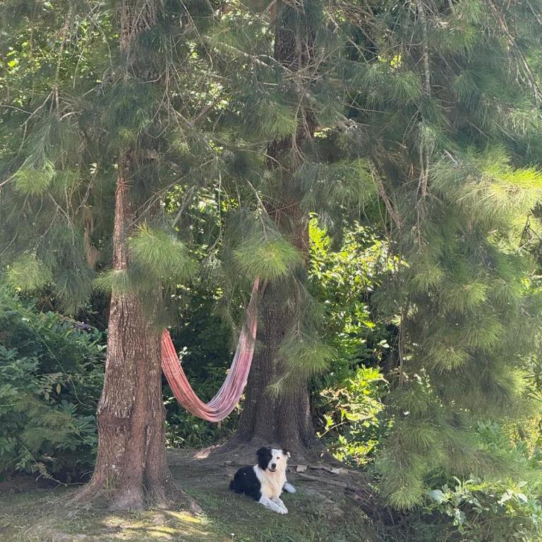 Cabañas Allende Delta - Double Room - 14