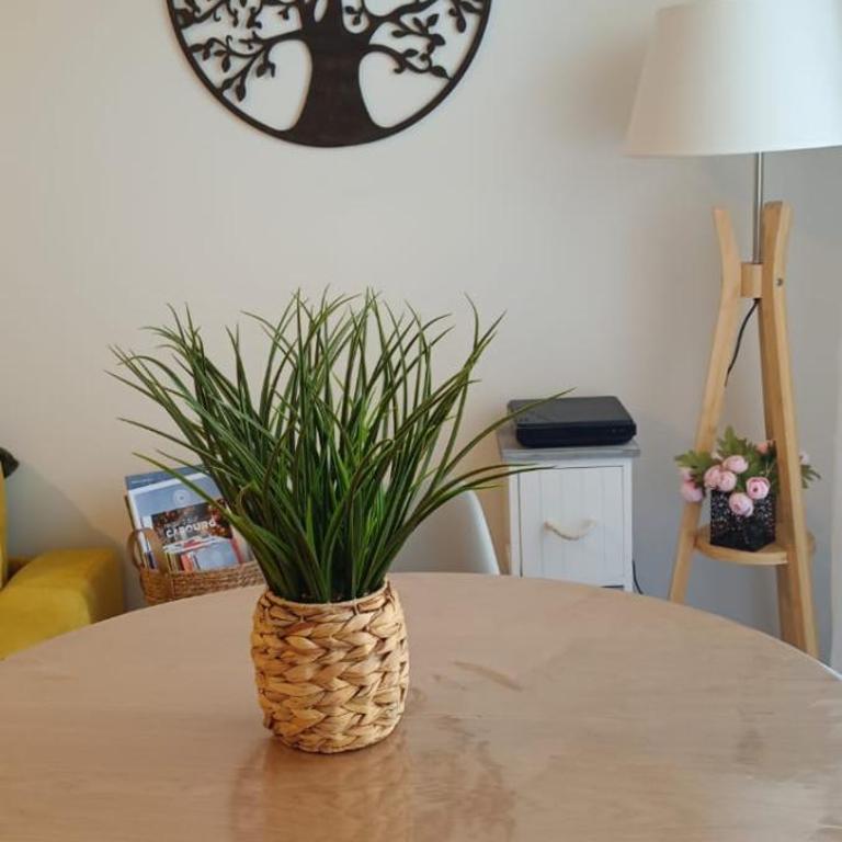 Cabourg - One-Bedroom Apartment - 7