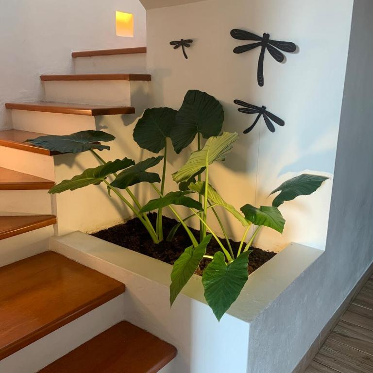The House with the View&Location - Villa de 2 dormitorios - 12