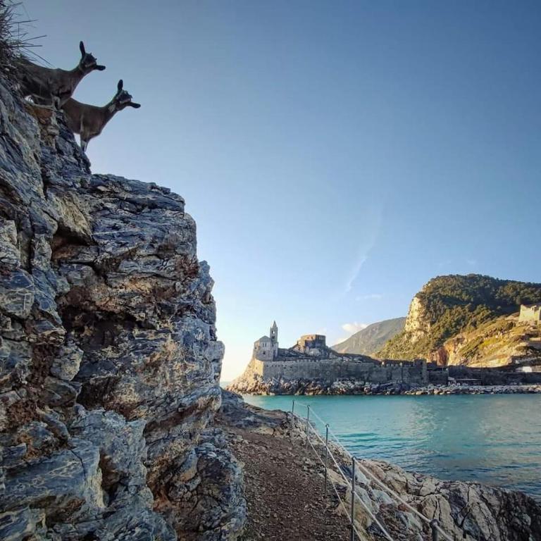 La casetta della Nini - Stay Explore and Love Cinque Terre - Appartamento con 1 Camera da Letto - 1