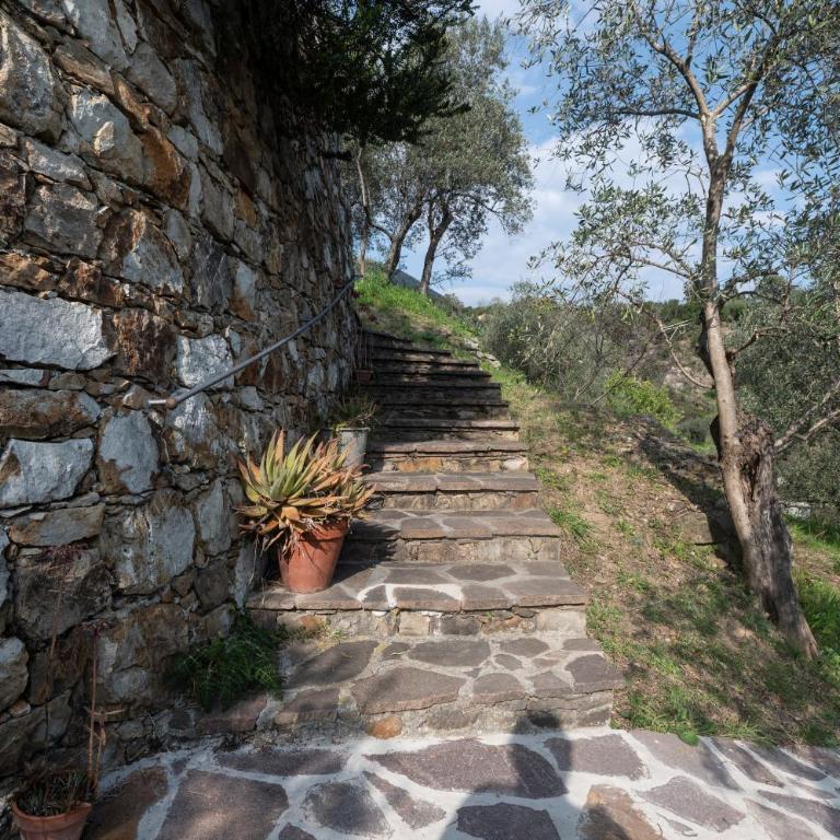 342 - Villa Succo, mare e natura a 5 min da Sestri Levante - Villa con 3 Camere da Letto - 48