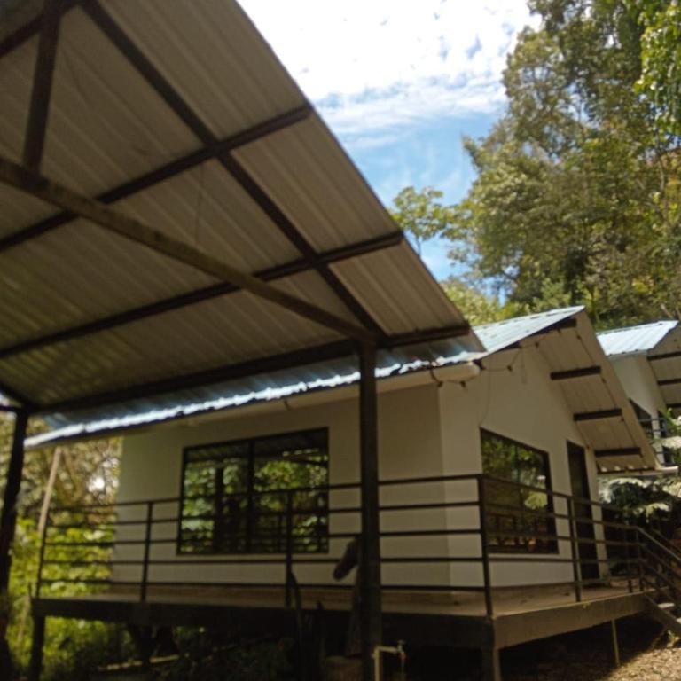 Cabañas Bosque Encanto - Jacuzzi - One-Bedroom Apartment - 5