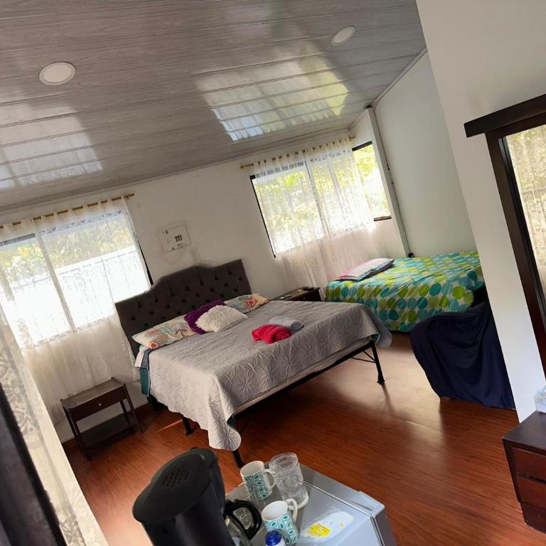 Cabañas Bosque Encanto - Jacuzzi - One-Bedroom Apartment - 6