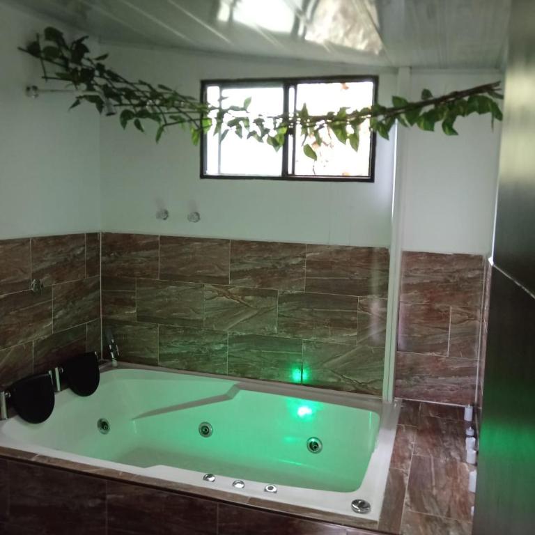 Cabañas Bosque Encanto - Jacuzzi - One-Bedroom Apartment - 8