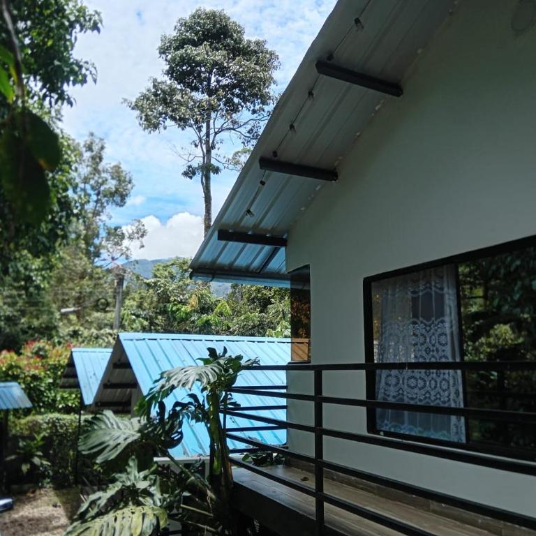 Cabañas Bosque Encanto - Jacuzzi - One-Bedroom Apartment - 13