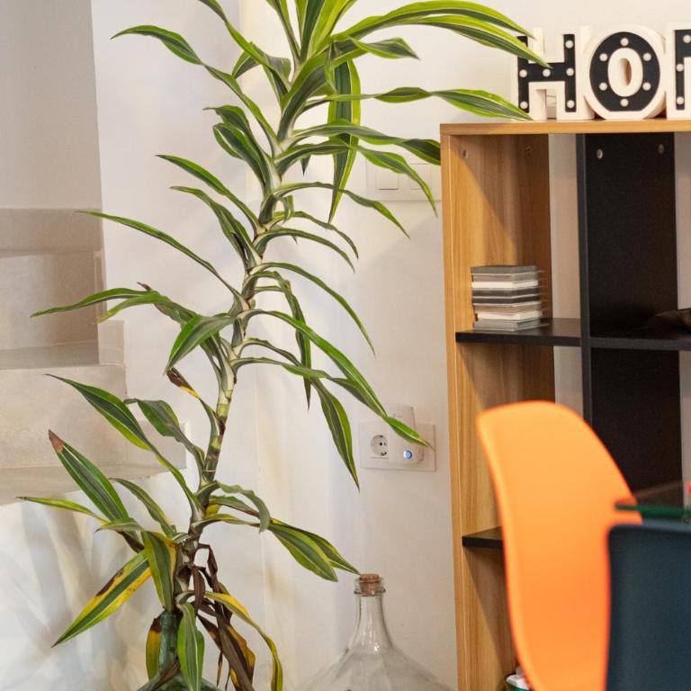 Apartamento Albariza - Apartamento de 2 dormitorios - 25