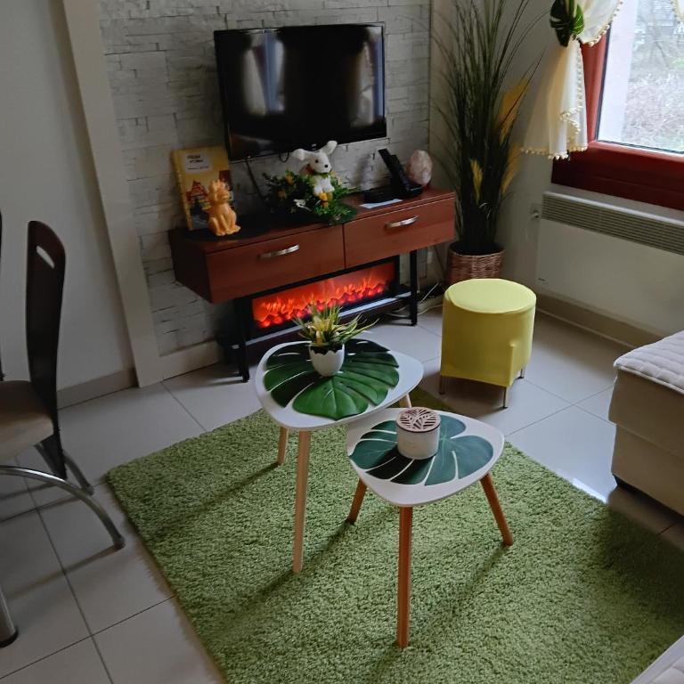 Vesna Apartman - Apartman sa 1 Spavaćom Sobom - 19
