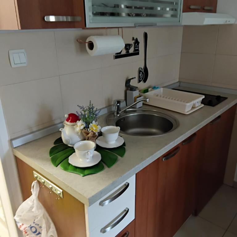 Vesna Apartman - Apartman sa 1 Spavaćom Sobom - 21