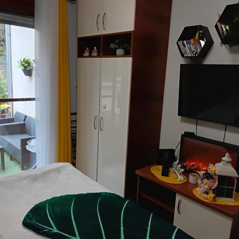 Vesna Apartman - Apartman sa 1 Spavaćom Sobom - 8