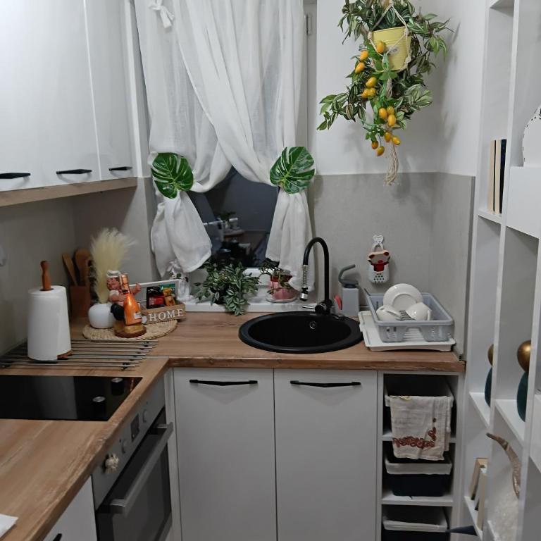 Apartman Safir - Apartman sa 1 Spavaćom Sobom - 7