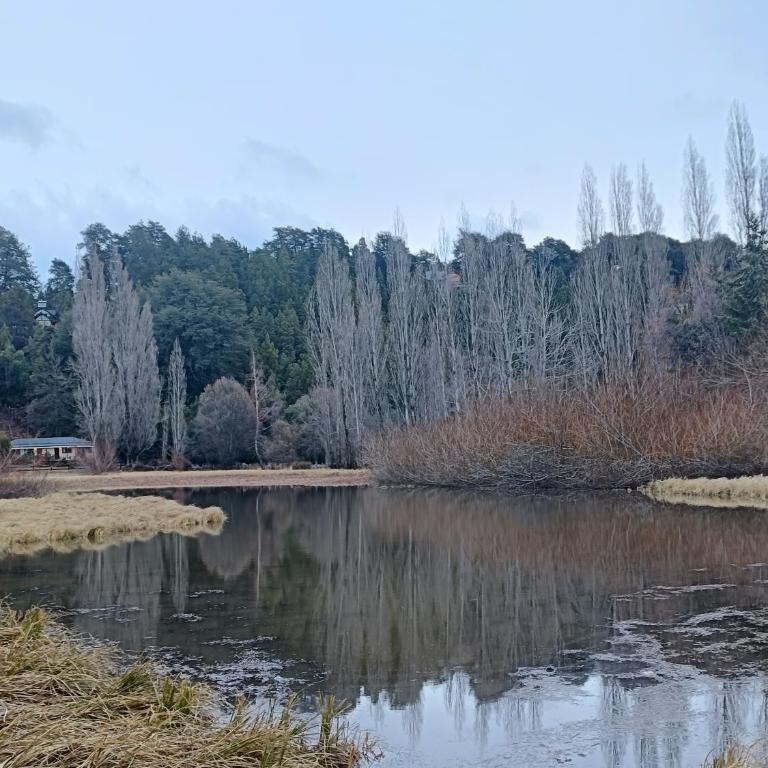 Villa Tres Lagos - Apartamento de 1 dormitorio - 5