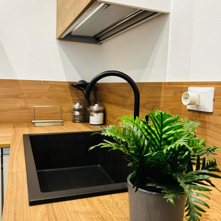 Casa ducrot - Apartment mit 1 Schlafzimmer - 8