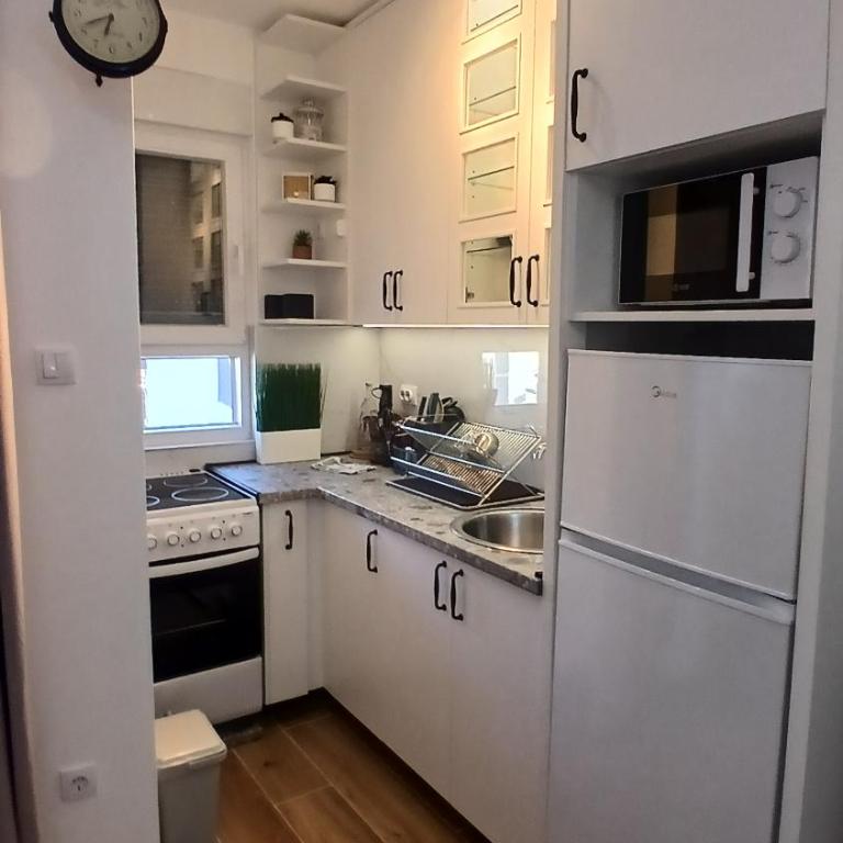 Koviljača apartman Demetrios - Apartman sa 1 Spavaćom Sobom - 24
