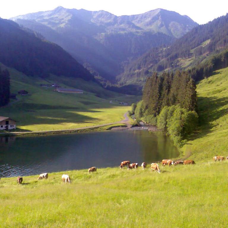 Chalet Ursteinhütte - Chalet - 34