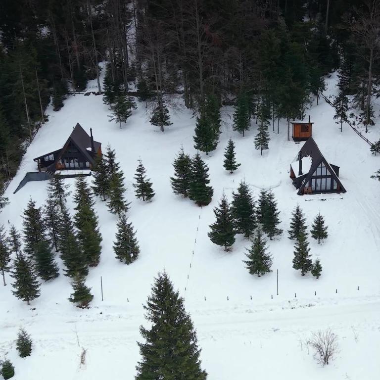 Vrleti Tare - Vrleti - Three-Bedroom house with sauna - 3