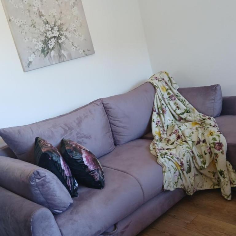 Koviljača apartman Demetrios - Apartman sa 1 Spavaćom Sobom - 31