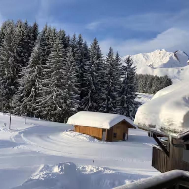 Appartement Praz de Lys Centre Station - Appartement 1 Chambre - 2