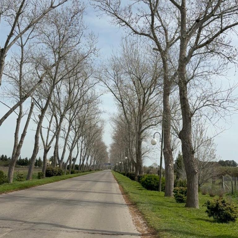 Departamento Termal Dolores - Apartamento de 1 dormitorio - 14