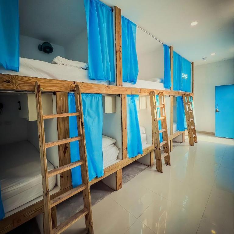 Hostal Blue House SM - Cama individual en habitación compartida - 2