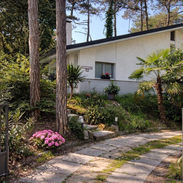 Villa Amedea - Villa - 3