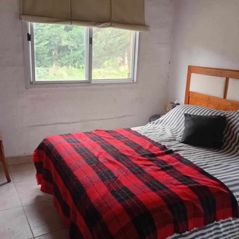 Casa mater - Chalet de 1 dormitorio - 11