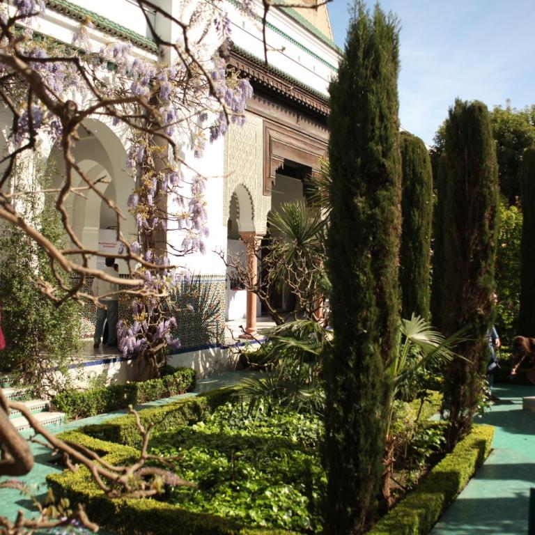 Studio Rue Lacépède - Appartement - 10
