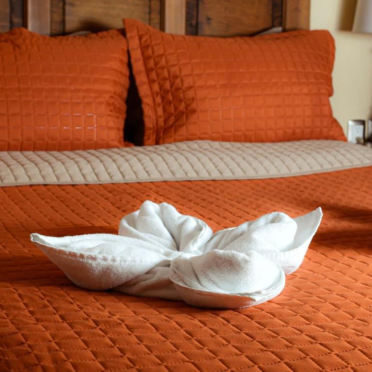 Hotel El Zaguán Histórico - Superior - 5