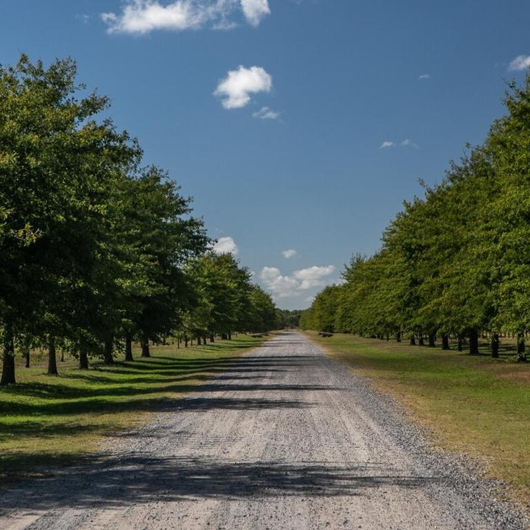 Exclusive & Unique StudFarm All Inclusive One hour from Palermo BA - Villa de 2 dormitorios - 10