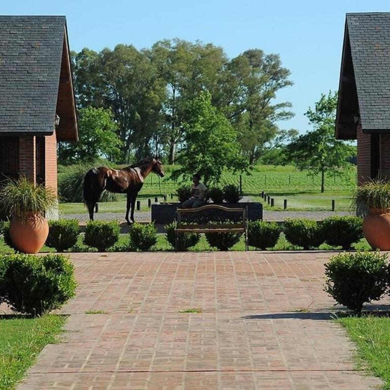Exclusive & Unique StudFarm All Inclusive One hour from Palermo BA - Villa de 2 dormitorios - 11