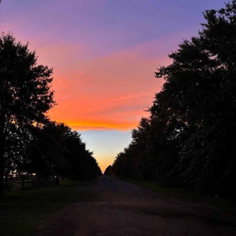 Exclusive & Unique StudFarm In BA - Two-Bedroom Villa - 13