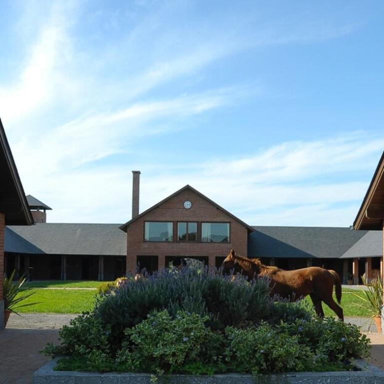 Exclusive & Unique StudFarm All Inclusive One hour from Palermo BA - Villa de 2 dormitorios - 16