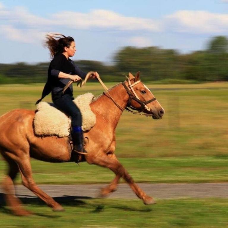 Exclusive & Unique StudFarm All Inclusive One hour from Palermo BA - Villa de 2 dormitorios - 18