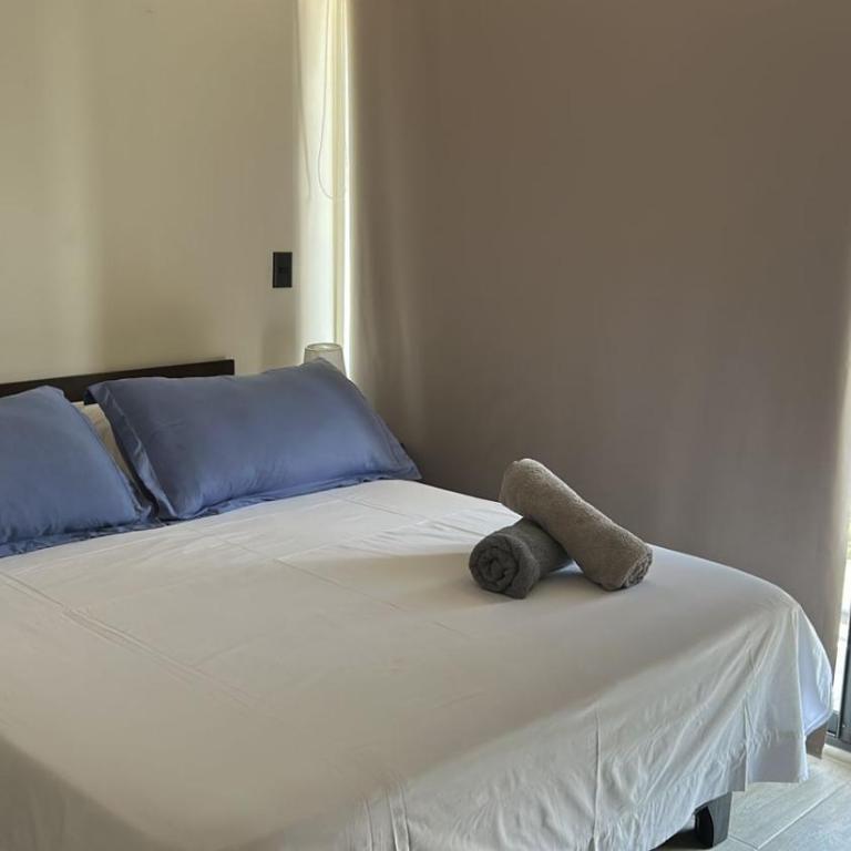 Departamento en Domeyko, a pasos de Movistar Arena y Club Hípico - Apartamento de 1 dormitorio - 3