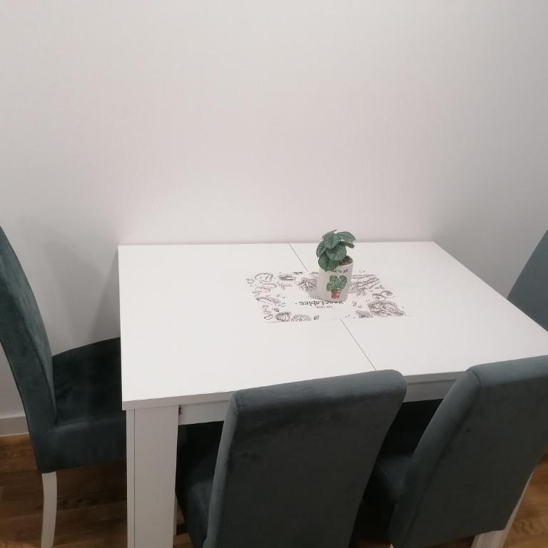 Aleksandar - Apartman sa 1 Spavaćom Sobom - 12