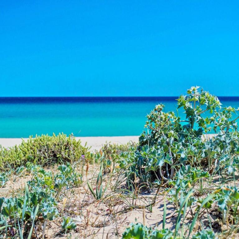 Apartment in Costa Rei near White Sand Beaches - Appartamento con 1 Camera da Letto - 8